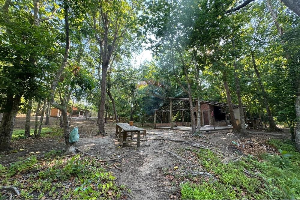 Chácara / Sítio / Fazenda - Venda - Babaçulândia , Tocantins - WhatsApp Image 2025-09-23 at 14.17.43.jpeg - 720991008-82