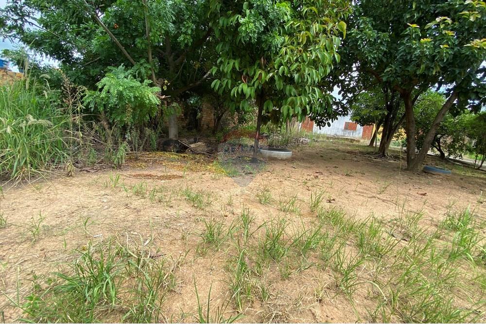 Terreno - Venda - Jaru , Rondônia - IMG_6347.JPG - 721551072-30