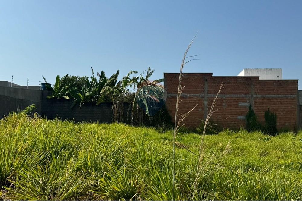 Terreno - Venda - Araguaína , Tocantins - WhatsApp Image 2024-08-22 at 17.40.38 (3).jpeg - 720991002-163