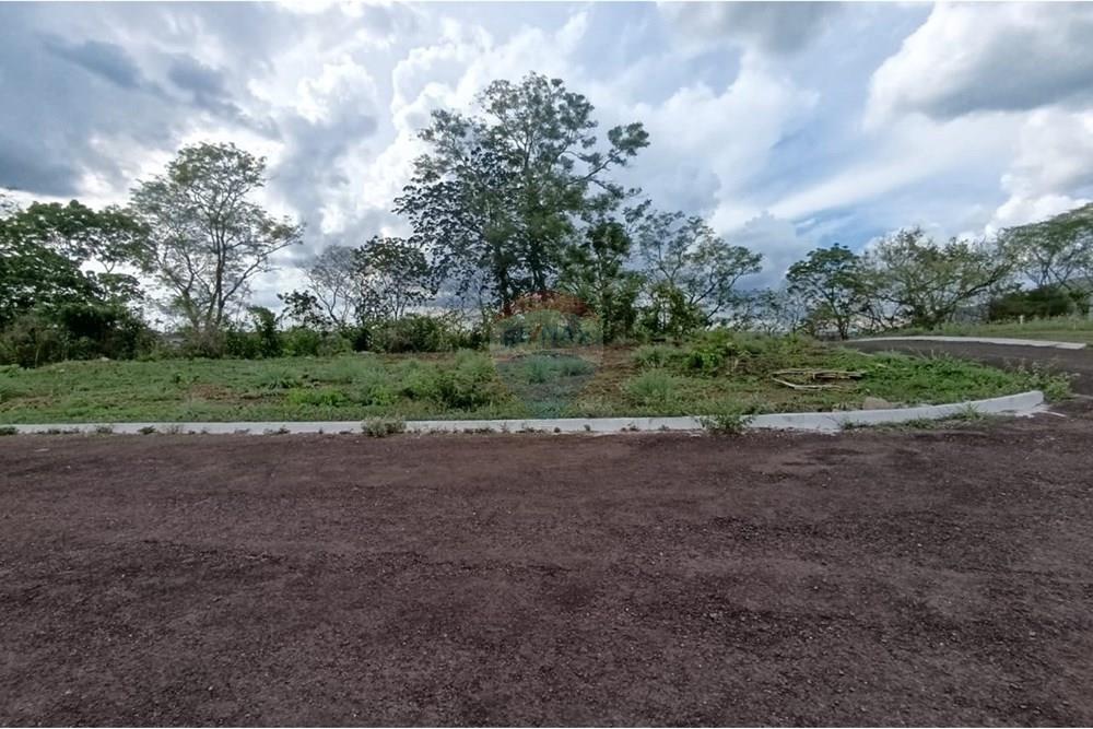 Terreno - Venda - Barra do Garças , Mato Grosso - cdd794fd-57ac-4191-9023-8d295a62d2b0.jpeg - 722221014-35