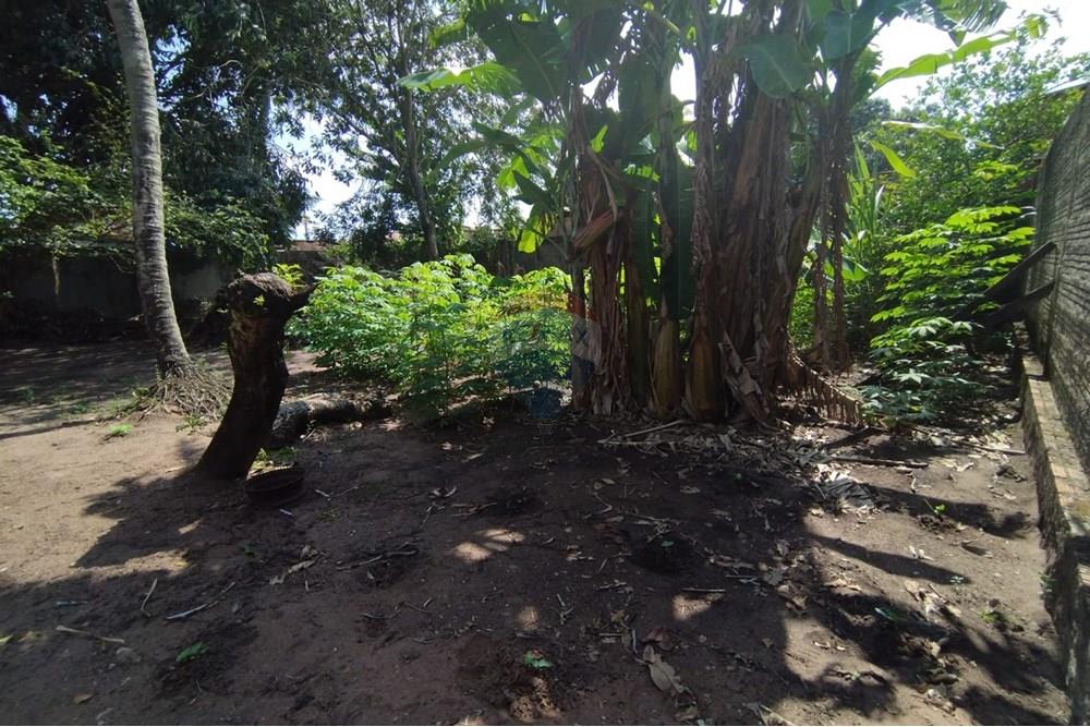 Terreno - Venda - Natal , Rio Grande do Norte - 81e5e237-becd-4fac-ab79-d8e0cf0caf9a.jpg - Quintal - 720621026-188