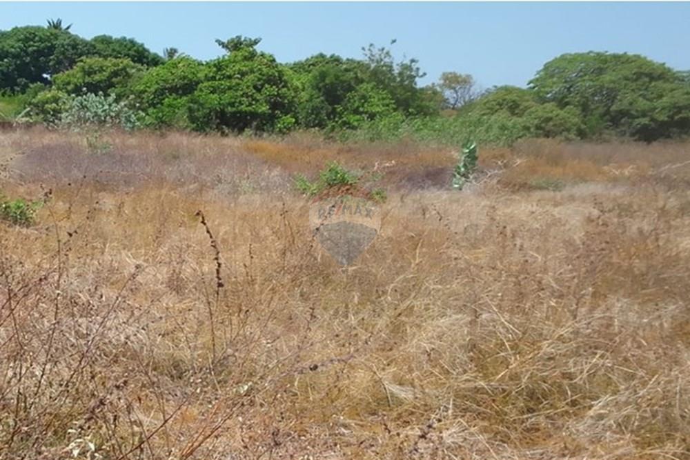 Terreno - Venda - Beberibe , Ceará - WhatsApp Image 2025-09-10 at 11.55.40 (1).jpeg - 721621165-53