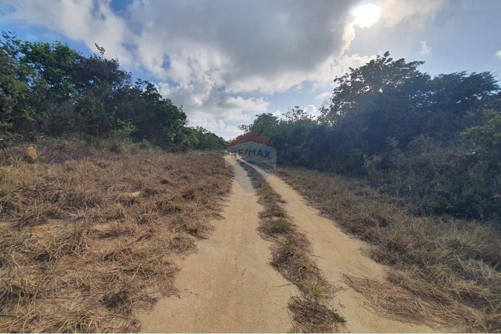 Terreno - Venda - Conde , Paraíba - 0ab23b98-b2d7-4284-873d-2962522cd0be.jpeg - 720471019-138