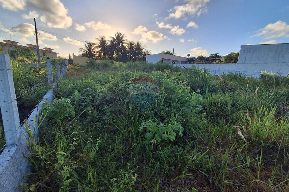 Terreno - Venda - Pitimbu , Paraíba - 20260310_165115.jpg.jpeg - 720871044-121