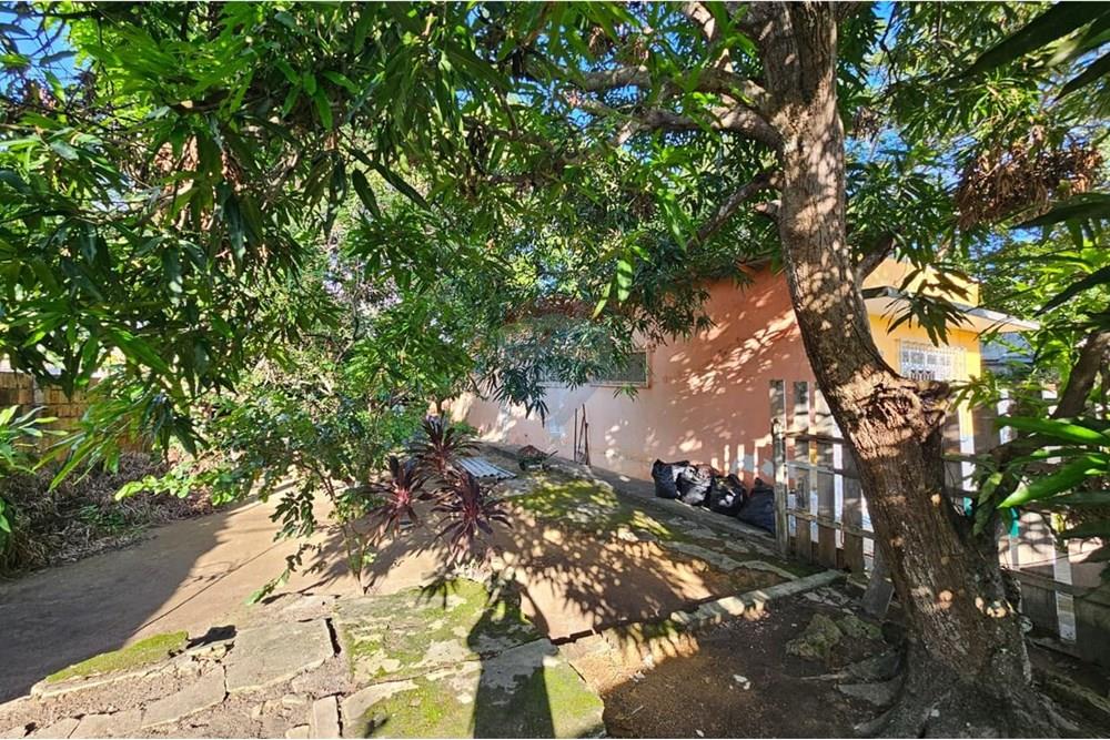 Terreno - Venda - Manaus , Amazonas - WhatsApp Image 2025-12-12 at 14.12.17 (2).jpeg - Quintal - 720401101-2