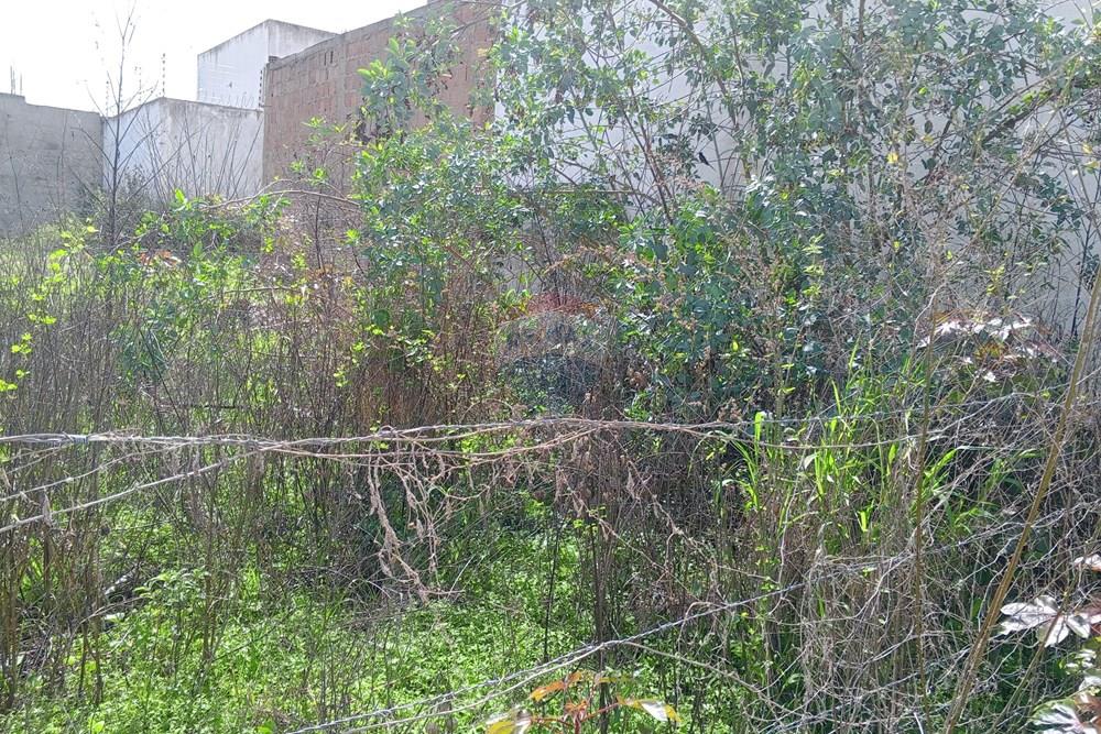 Terreno - Venda - Queimadas , Paraíba - IMG_20260216_085136_520.jpg.jpeg - 720291095-18