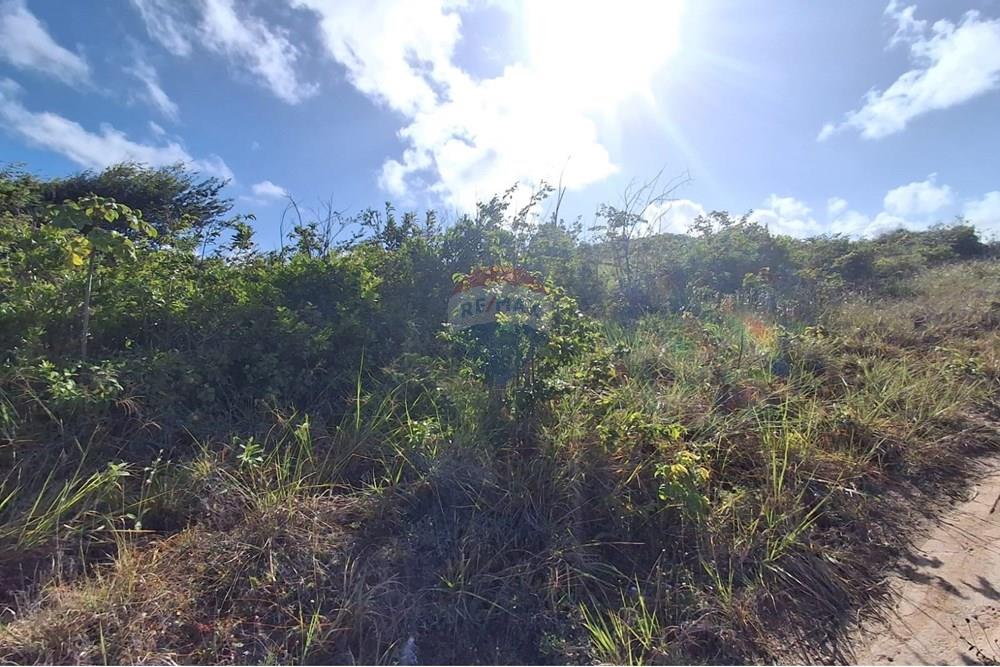Terreno - Venda - Pitimbu , Paraíba - 89cf0be6-bb0a-401f-bb8c-9a6b173a8805.jpeg - 720871044-79