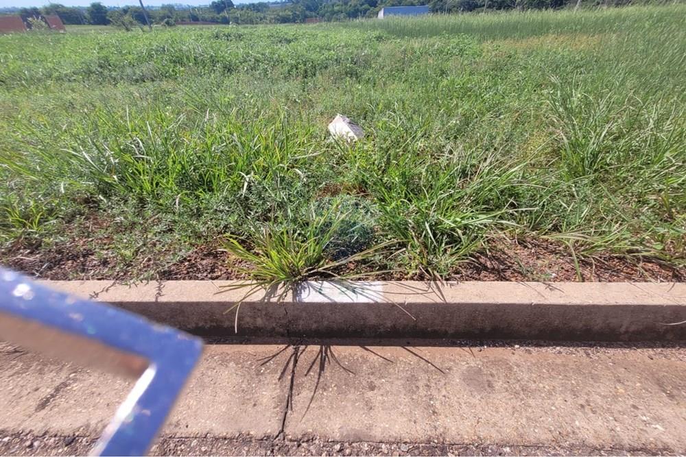 Terreno - Venda - Rondonópolis , Mato Grosso - WhatsApp Image 2026-01-31 at 20.45.52 (3).jpeg - 720771042-57