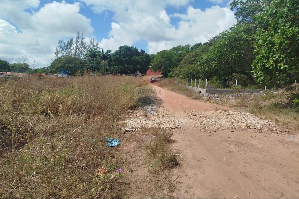 Terreno - Venda - Nísia Floresta , Rio Grande do Norte - WhatsApp Image 2024-11-22 at 21.32.30.jpeg - 720891013-275