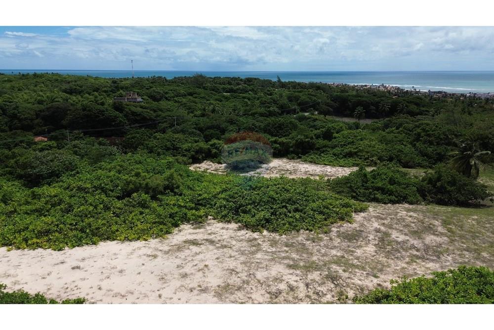 Terreno - Venda - Nísia Floresta , Rio Grande do Norte - DJI_0051.jpg - 720891133-73