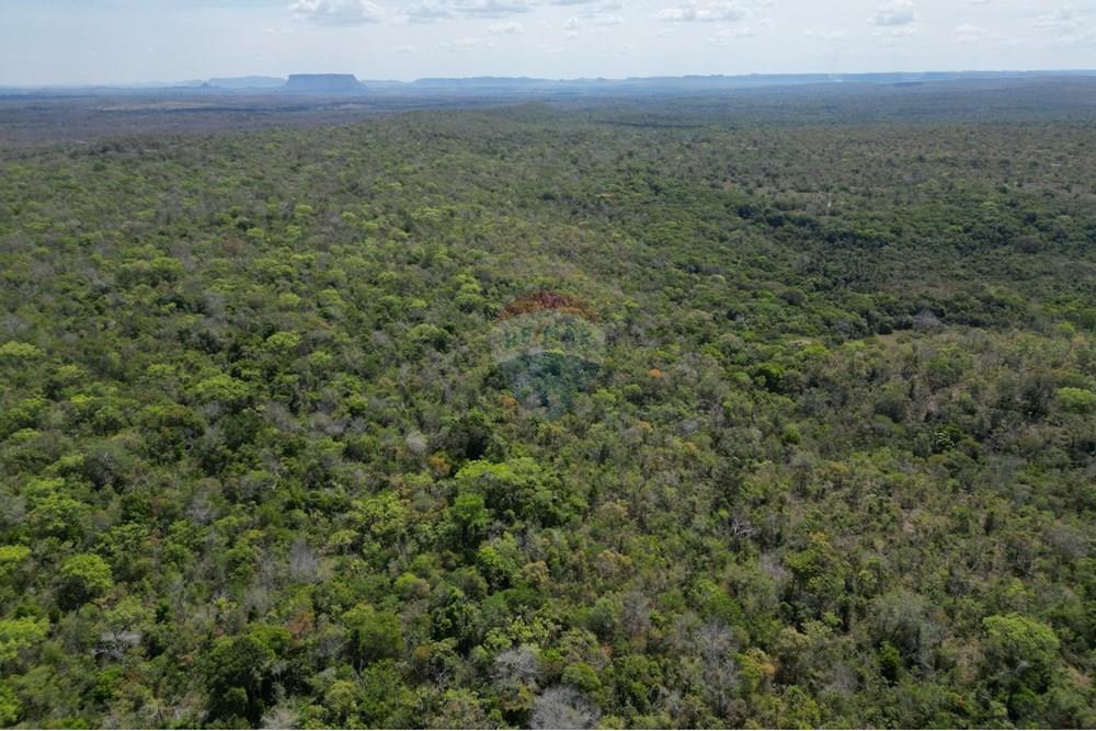 Agro - Venda - Carolina , Maranhão - WhatsApp Image 2025-08-28 at 17.45.08 (1).jpeg - 720991010-76