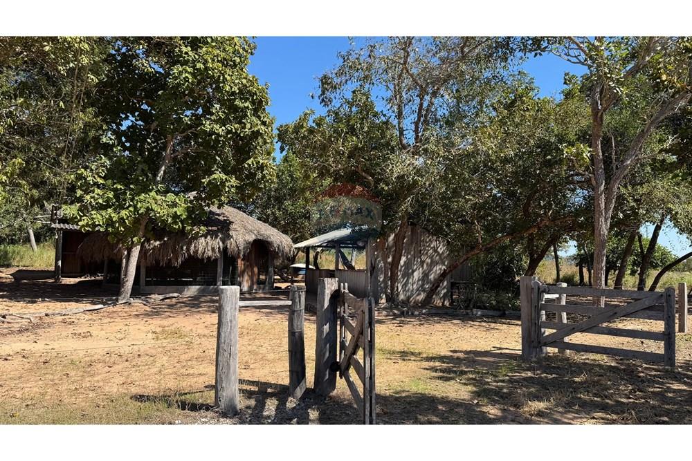 Fazenda - Venda - Santo Antônio do Leverger , Mato Grosso - 6ddcba3c-f0c4-4462-b57d-5a12905329e9.jpeg - 720611035-41