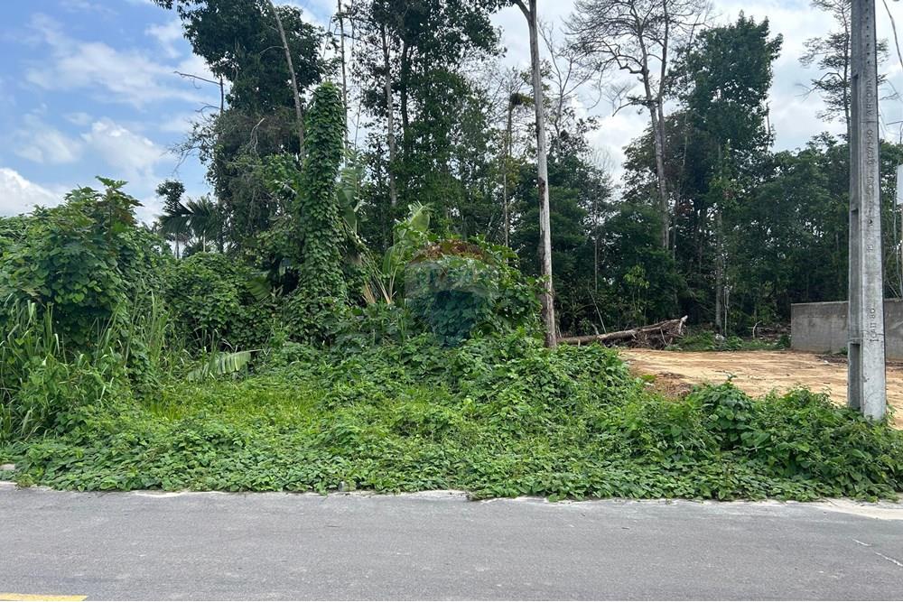 Terreno - Venda - Manaus , Amazonas - WhatsApp Image 2024-12-20 at 12.13.49.jpeg - 720721025-40