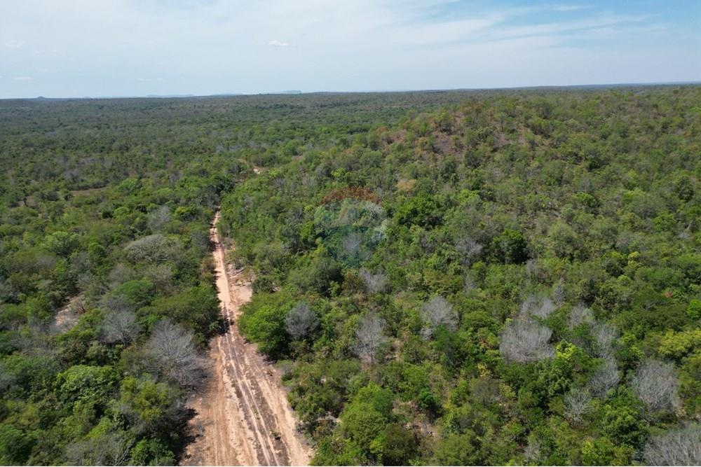 Agro - Venda - Carolina , Maranhão - WhatsApp Image 2025-08-28 at 17.44.57.jpeg - 720991010-76