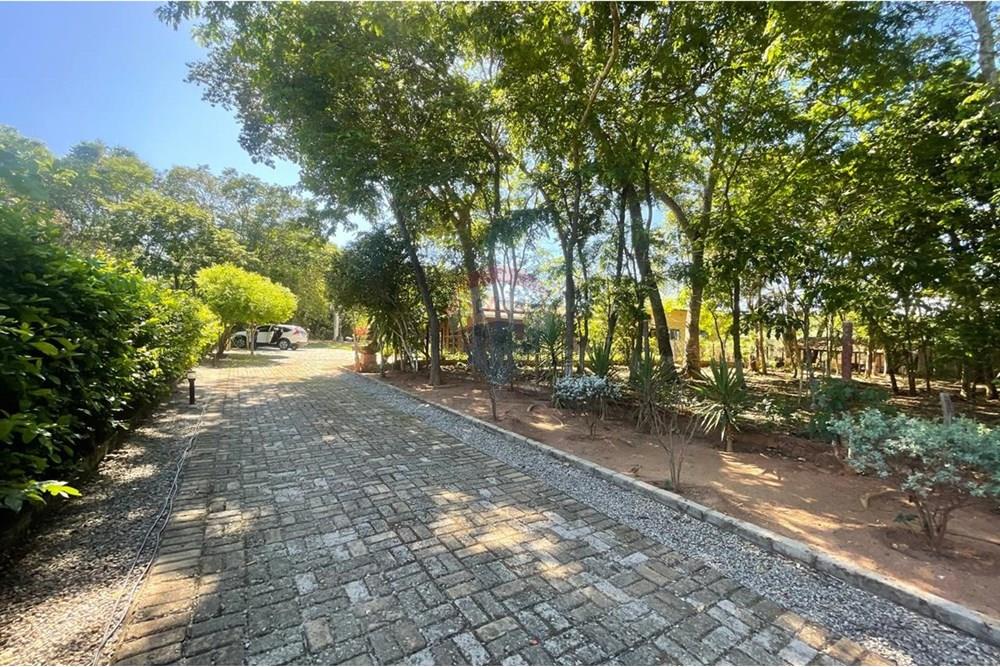 Chácara / Sítio / Fazenda - Venda - Nova Veneza , Goiás - WhatsApp Image 2025-11-18 at 07.24.52 (2).jpeg - 722271015-32