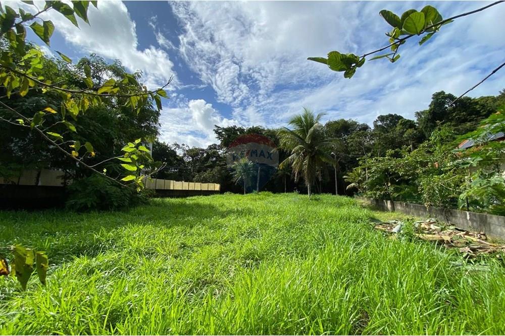 Terreno - Venda - Camaragibe , Pernambuco - WhatsApp Image 2025-06-25 at 18.11.39.jpeg - 720471070-30