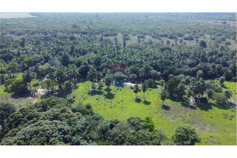 Chácara / Sítio / Fazenda - Venda - Porto Alegre do Norte , Mato Grosso - 9 - 720641031-14