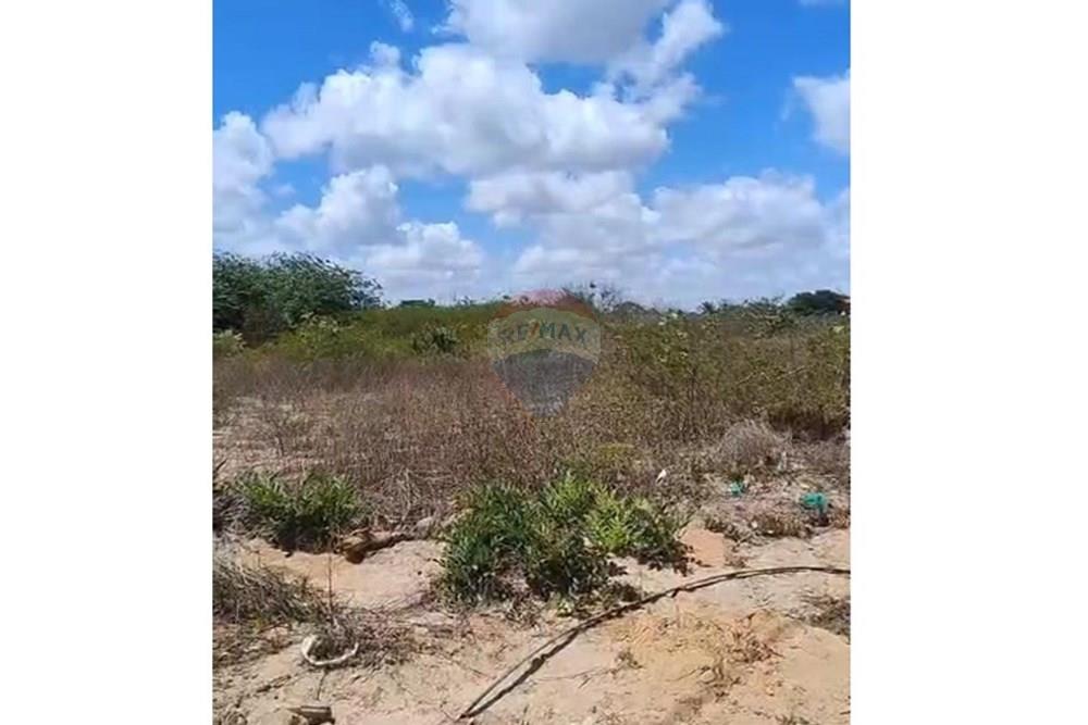 Terreno - Venda - São José de Mipibu , Rio Grande do Norte - TERRENO 2.jpeg - 720891130-239