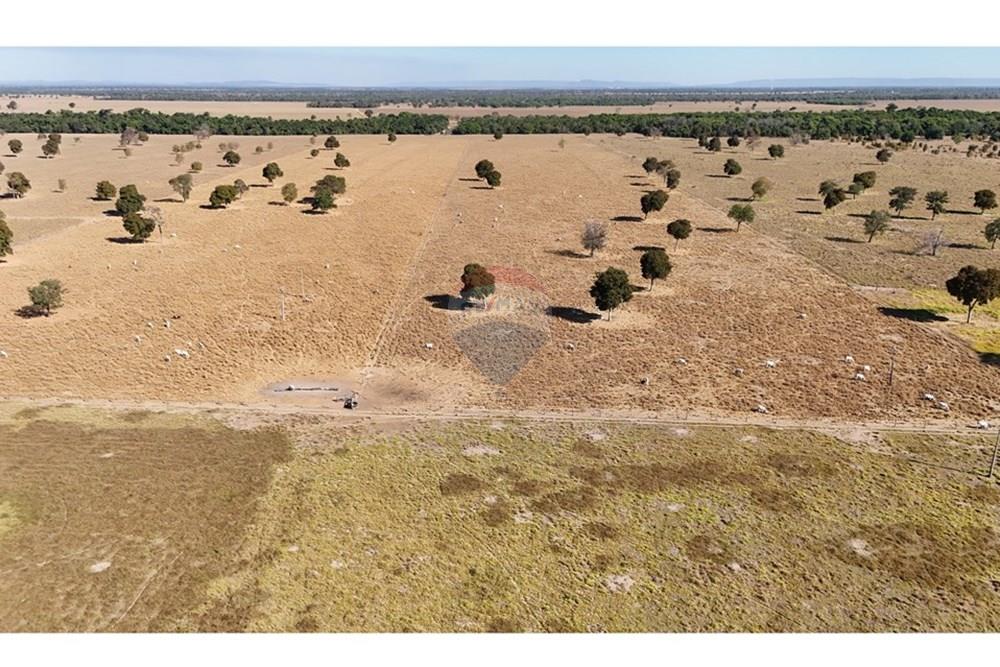 Chácara / Sítio / Fazenda - Venda - Barra do Garças , Mato Grosso - DJI_20250813023414_0401_D.JPG - 722221002-336