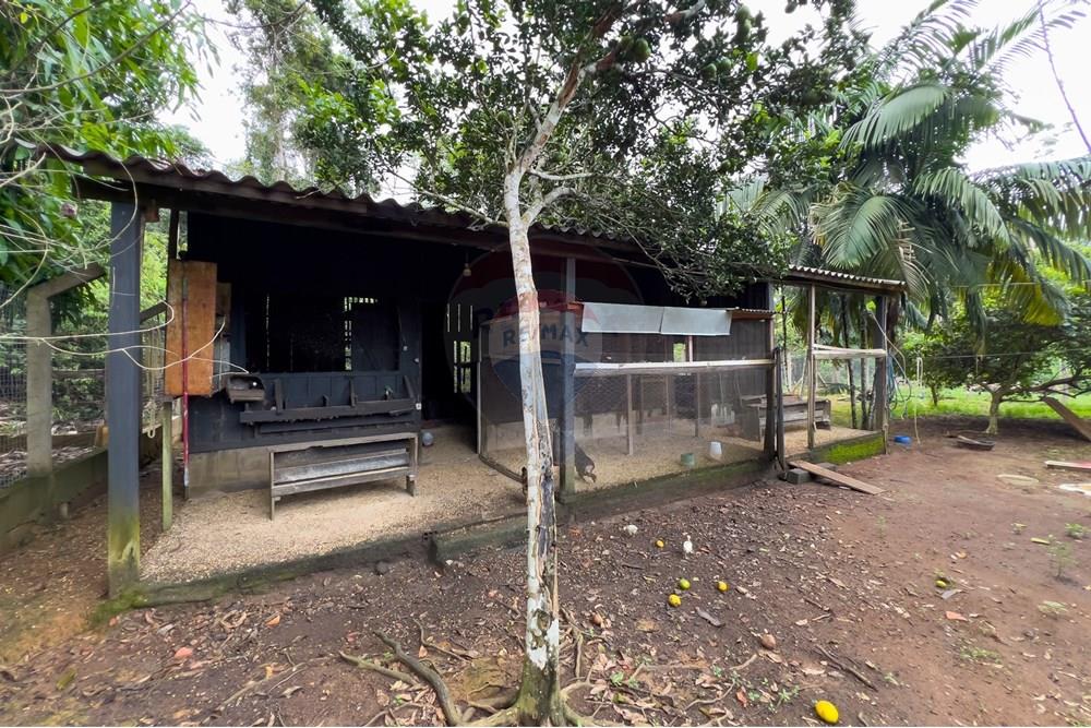 Chácara / Sítio / Fazenda - Venda - Porto Velho , Rondônia - IMG_7428.jpg - 721551058-3