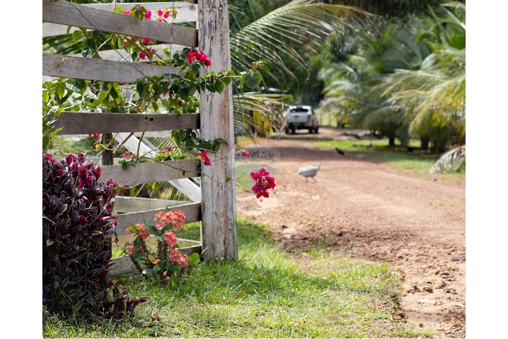 Woningbouw - Boerderij - Novo Airão , Amazonas - BR - IMG_7467.jpg - 720721055-29