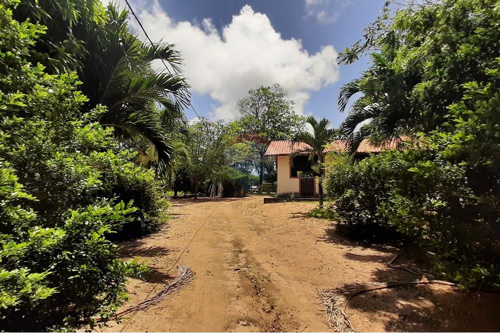 Chácara / Sítio / Fazenda - Venda - Conde , Paraíba - 20211021_110441.jpg - 722011055-33