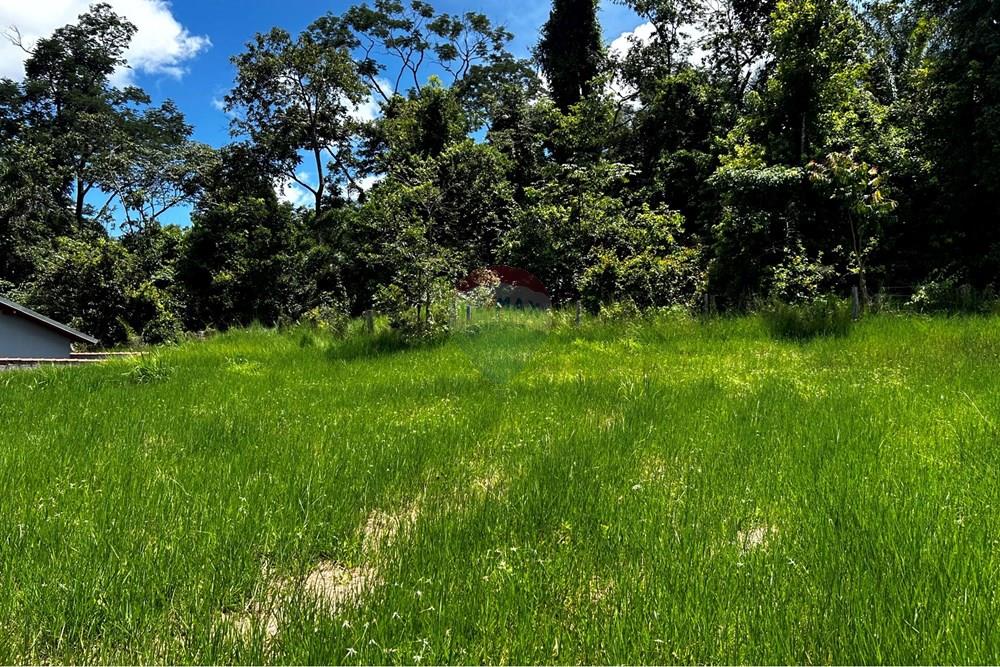 Terreno - Venda - Cacoal , Rondônia - IMG_2025.jpg - 721971001-42