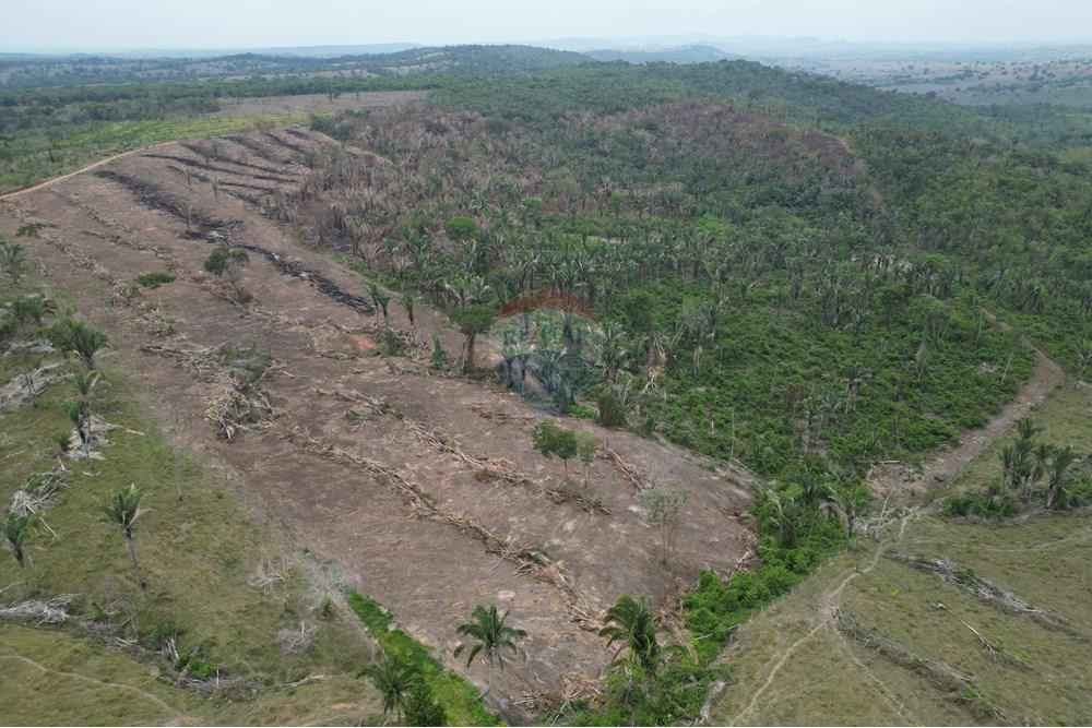 Chácara / Sítio / Fazenda - Venda - Araguaína , Tocantins - DJI_0066.JPG - 720991045-15