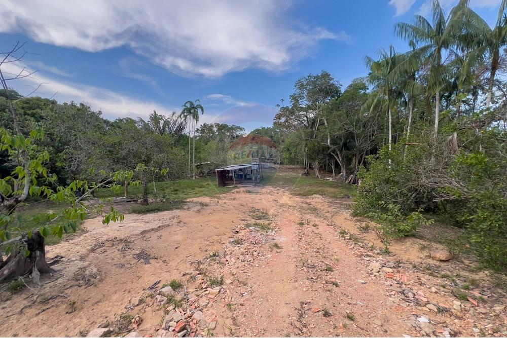 Chácara / Sítio / Fazenda - Venda - Porto Velho , Rondônia - IMG_3121.jpg - 721551059-6