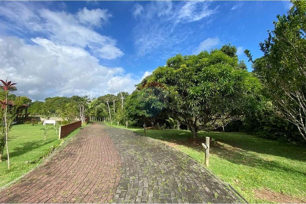 Terreno - Venda - Camaragibe , Pernambuco - WhatsApp Image 2025-06-25 at 18.11.46 (13).jpeg - 720471070-30