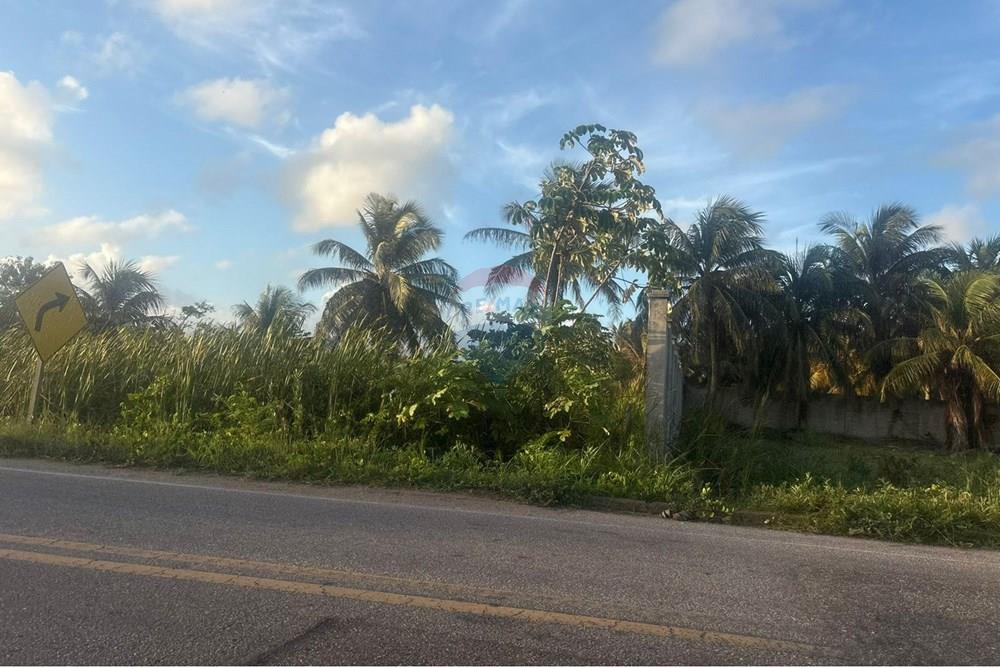 Terreno - Venda - Trairi , Ceará - 1000521936.jpg - 722341007-10