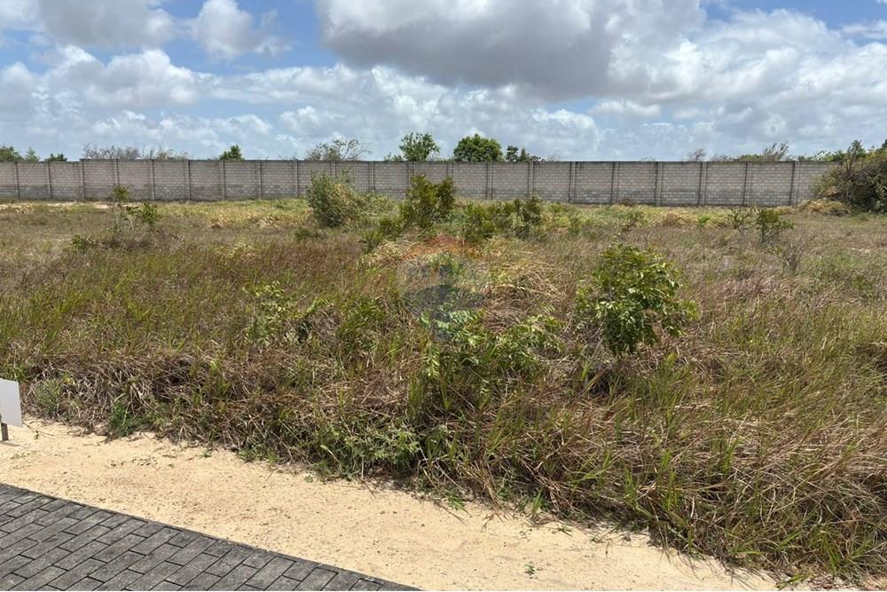 Terreno - Venda - Nísia Floresta , Rio Grande do Norte - WhatsApp Image 2025-10-09 at 16.12.01.jpeg - 720891133-248