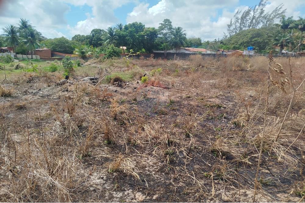 Terreno - Venda - Nísia Floresta , Rio Grande do Norte - WhatsApp Image 2024-11-22 at 21.32.39 (2).jpeg - 720891013-275