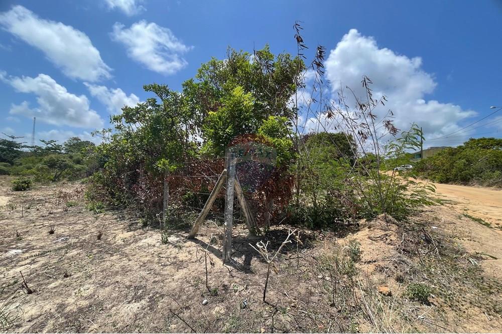 Terreno - Venda - Conde , Paraíba - WhatsApp Image 2025-01-02 at 15.01.11 (1).jpeg - 720871004-173