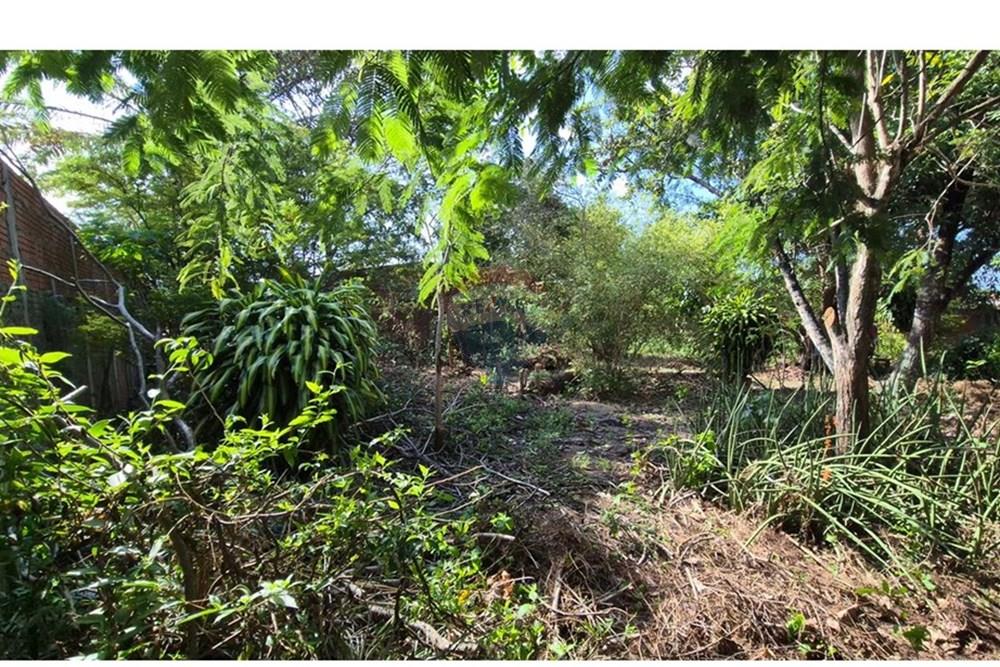 Terreno - Venda - Parnamirim , Rio Grande do Norte - WhatsApp Image 2026-03-02 at 10.05.18 (1).jpeg - 720811040-40