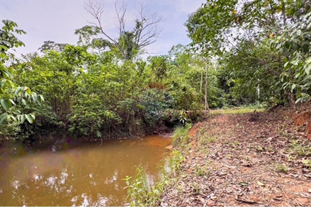 Chácara / Sítio / Fazenda - Venda - Porto Velho , Rondônia - L_63b287d4-7186-4af9-8268-ab7080bcf1c4.jpg - 721551004-302