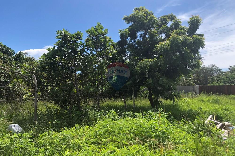 Terreno - Venda - Cruz , Ceará - IMG_0595.jpeg - 722341001-199