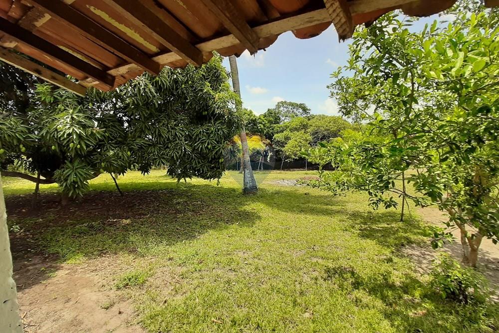 Terreno - Venda - Goiana , Pernambuco - 20201103_103108.jpg - 722011055-50