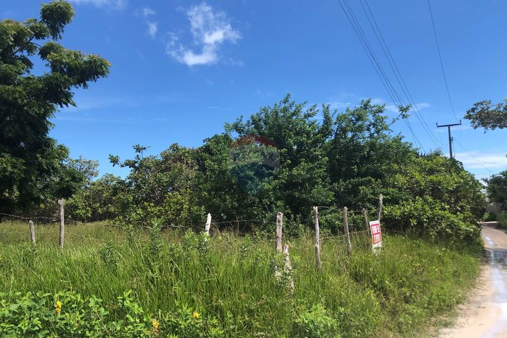 Terreno - Venda - Cruz , Ceará - IMG_0584.jpeg - 722341001-199