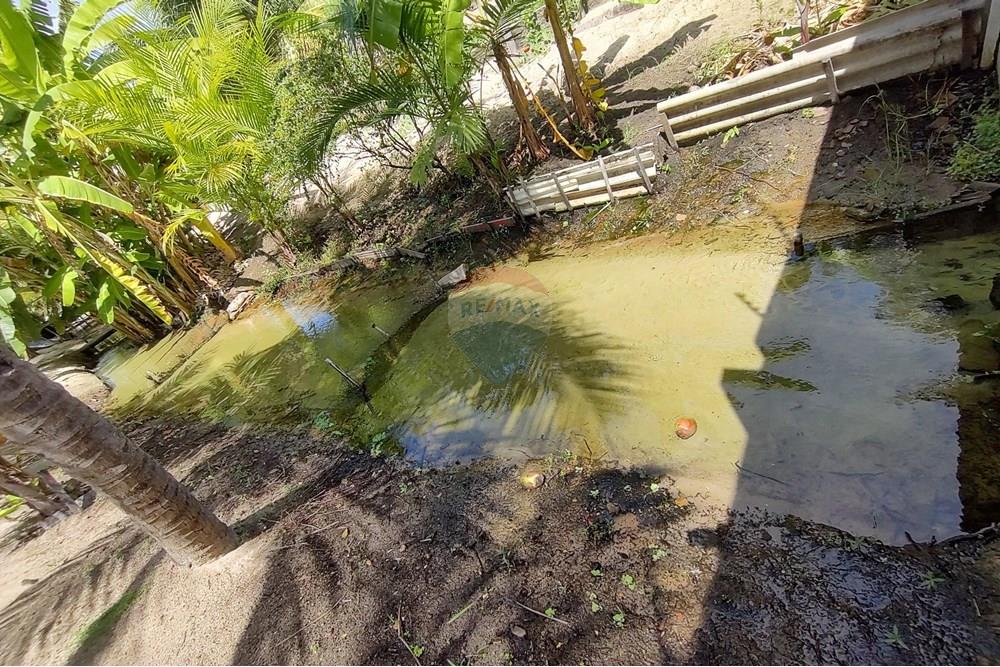 Chácara / Sítio / Fazenda - Venda - Nísia Floresta , Rio Grande do Norte - WhatsApp Image 2025-06-05 at 15.29.02(1).jpeg - 720731020-103