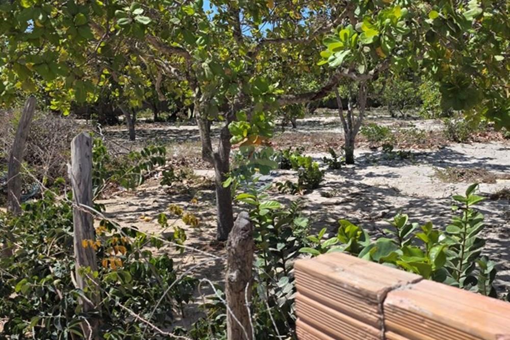 Terreno - Venda - Cruz , Ceará - 1000234228.jpg - 722341001-112