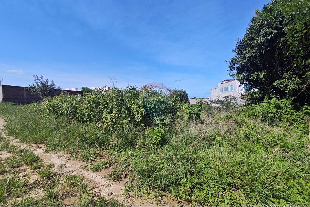 Terreno - Venda - Conde , Paraíba - 1000525094.jpg - 720871009-181