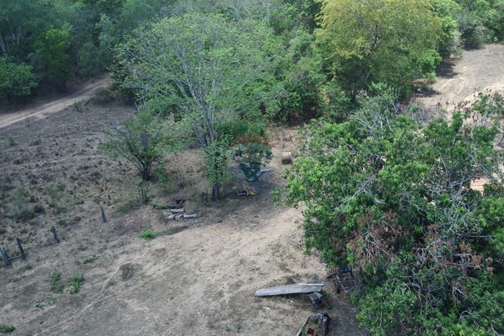 Chácara / Sítio / Fazenda - Venda - Dom Aquino , Mato Grosso - IMG_7832.JPG - 720611016-36