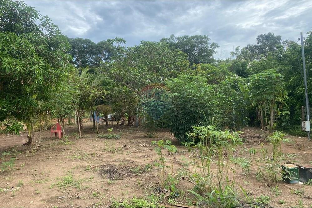 Terreno - Venda - Rondonópolis , Mato Grosso - 04 terreno JL.jpeg - 721981070-13