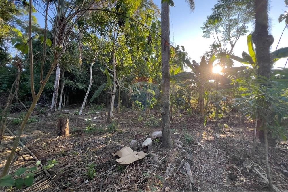 Chácara / Sítio / Fazenda - Venda - Porto Velho , Rondônia - IMG_9061.jpg - 721551016-73