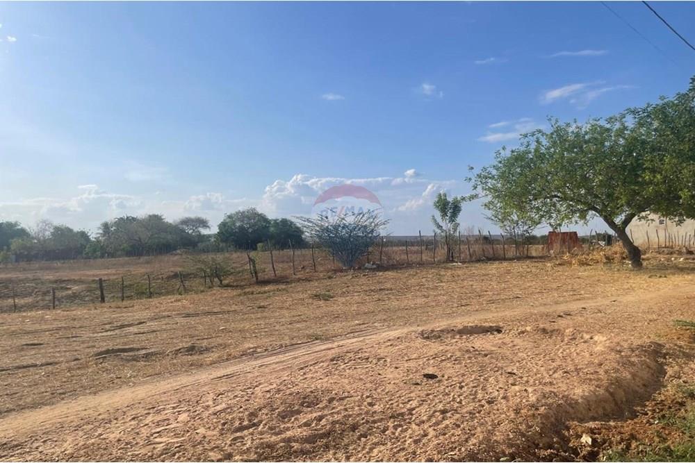 Terreno - Venda - Iguatu , Ceará - WhatsApp Image 2025-12-20 at 11.30.35(1).jpeg - 720931002-384