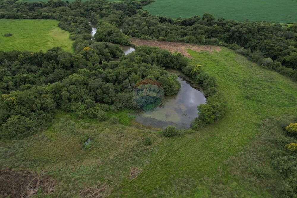 Casa - Venda - Jataí , Goiás - WhatsApp Image 2026-03-06 at 15.48.01 (2).jpeg - 722301033-5