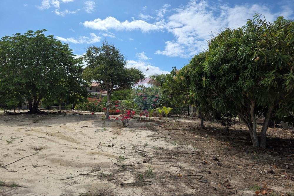 Terreno - Venda - Cruz , Ceará - 1000422699.jpg - 722341001-127