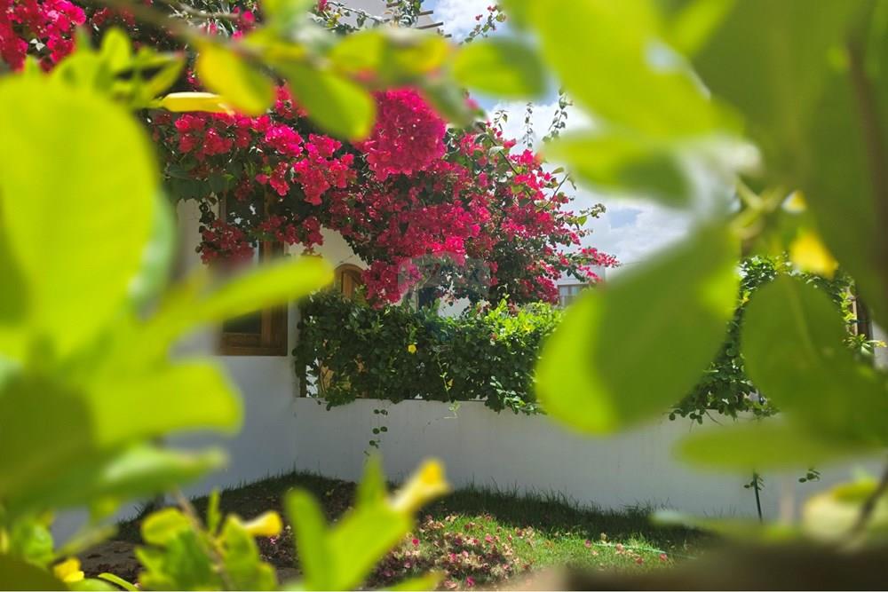 Casa - Venda - Cruz , Ceará - 1000429820.jpg - 722341001-159