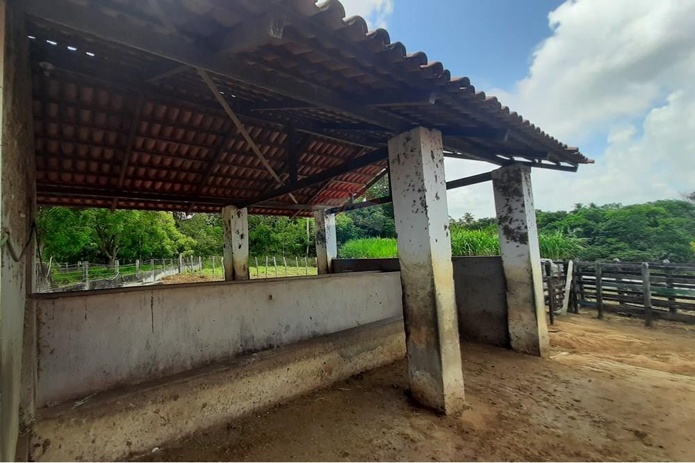 Chácara / Sítio / Fazenda - Venda - Conde , Paraíba - 20211021_105433.jpg - 722011055-33